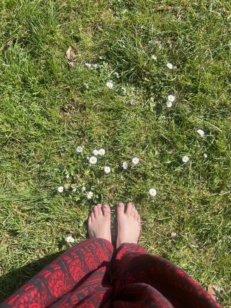 ☀️ Grounding + Sunshine