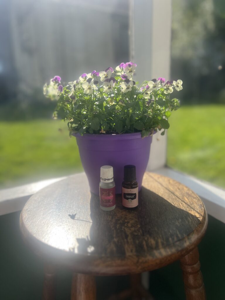 🥴 Hormonal Dance of Doom